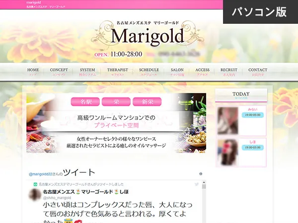 マリーゴールド(愛知)